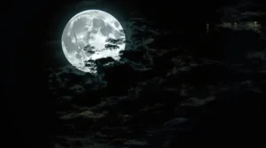 Pleine lune : un signe va enfin recevoir la nouvelle qu'il n'attendait plus