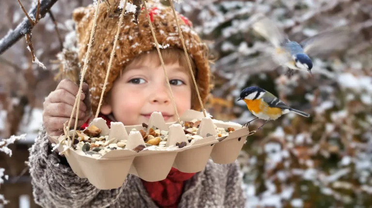 Ne jetez plus vos vieilles boîtes d’œufs : elles attirent les oiseaux au jardin tout l’hiver Ne jetez plus vos vieilles boîtes d’œufs : elles attirent les oiseaux au jardin tout l’hiver
